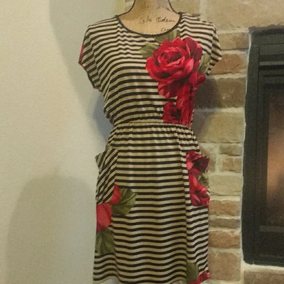 #934 Sweet storm  striped rose/ floral pocketed stretch dress sz S - Picture 1 of 8